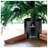 Christmas Live Tree Stand