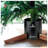 Live Christmas Tree Stand