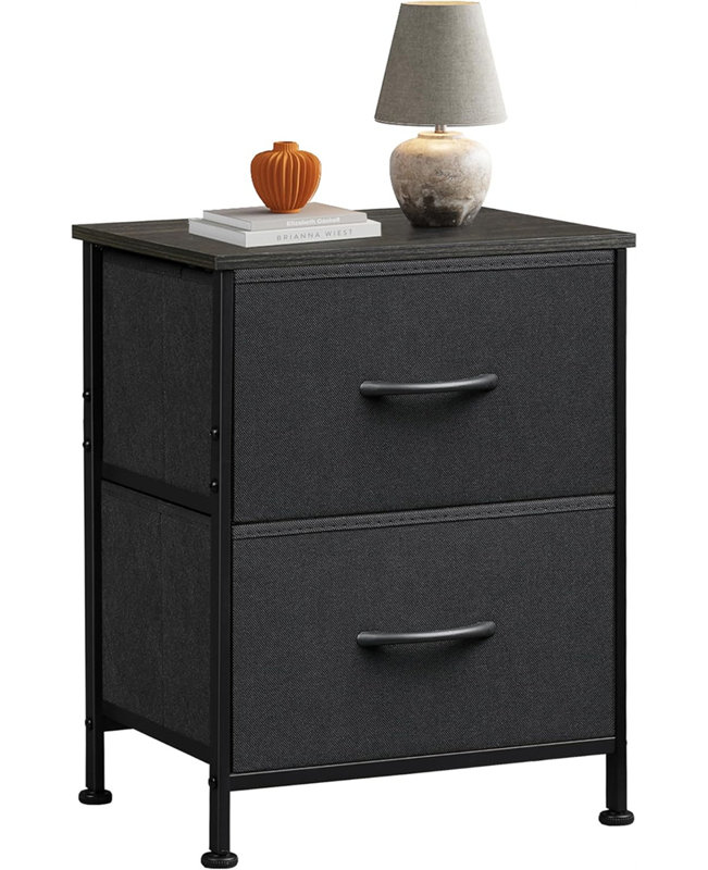 Black 2-Drawer Dresser – Single Row Storage Chest