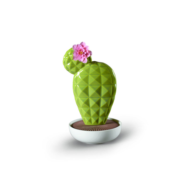 Opuntia cactus de valencia
