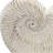 11.5X6.7X7.7" Sand And Cement Nautilus Shell Planter With Textured Beige Finish