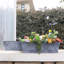 Ensemble de jardinières en plastique 2 pièces-116253275