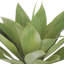 Plante grasse artificielle en pot-1152137814