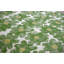 Daisy Performance Square Pillow Cover & Insert-92427816-124973475
