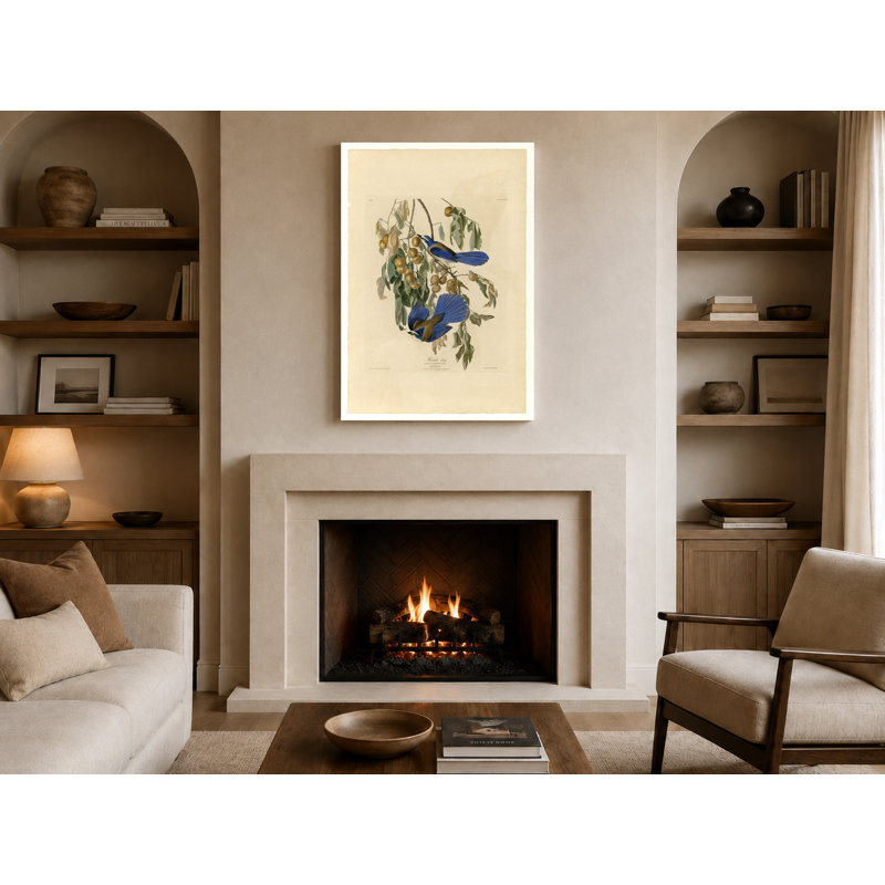 Florida Jay, Plate 87 (1827-1838) - Art mural sur toile Portrait, 18" W x 12" H