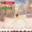 Christmas Decorative Accent