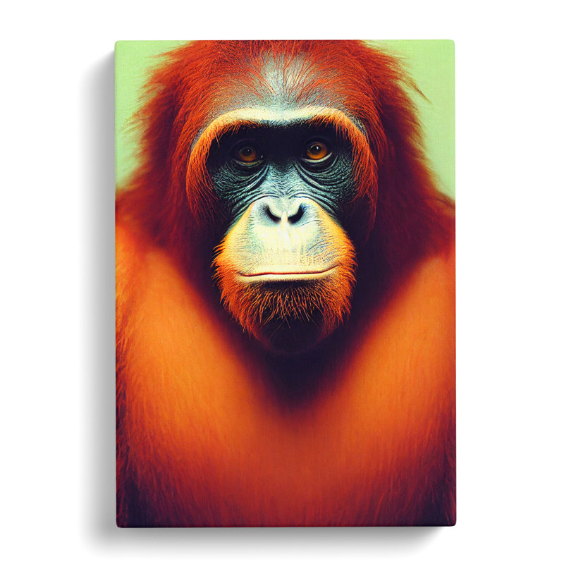 Orangutan Portrait Vol.3 - Wrapped Canvas, 76cm H x 50cm W x 3cm D