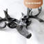 Ilminster Iron Wall Wall Hook