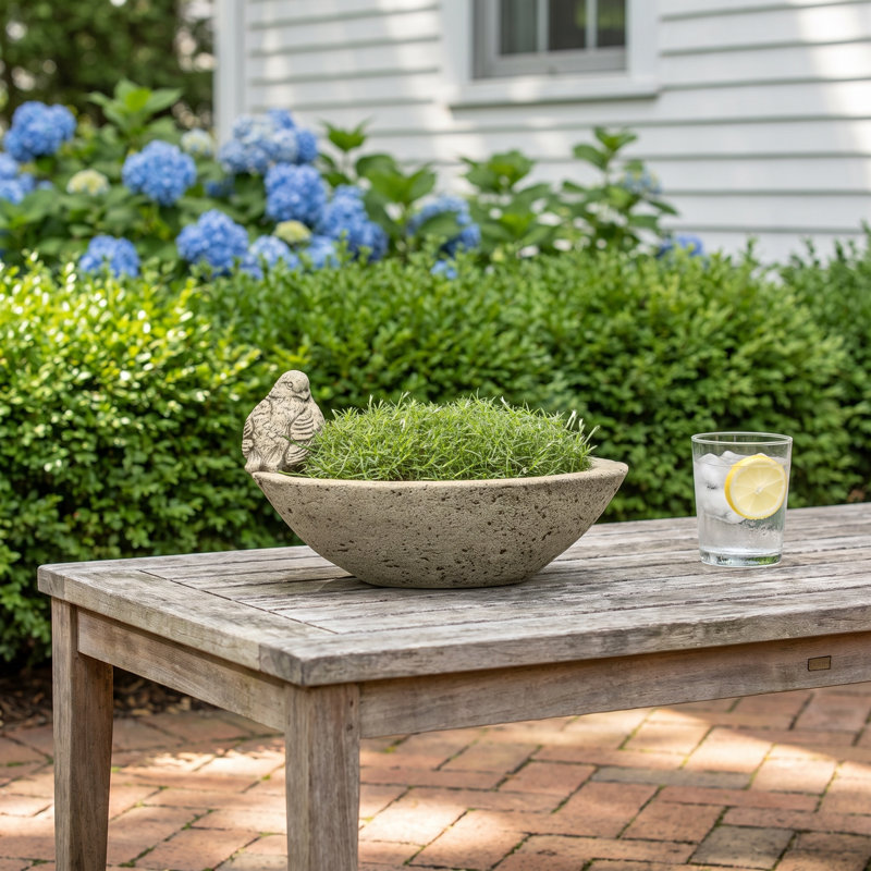 Renfri 12" Pot Planter, English Moss