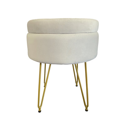 Alaney Stainless Steel Accent Stool