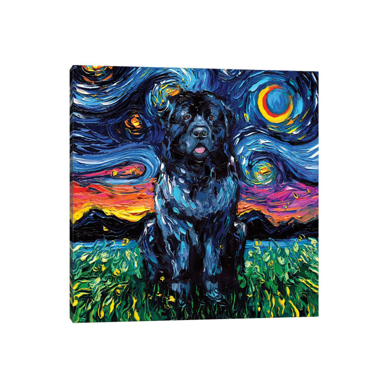 Newfoundland Night by Aja Trier - Wrapped Canvas Painting, 30.48 cm H x 30.48 cm W