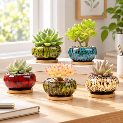 5-Piece Vivid Ceramic Succulent Planter Set with Attached Saucers
