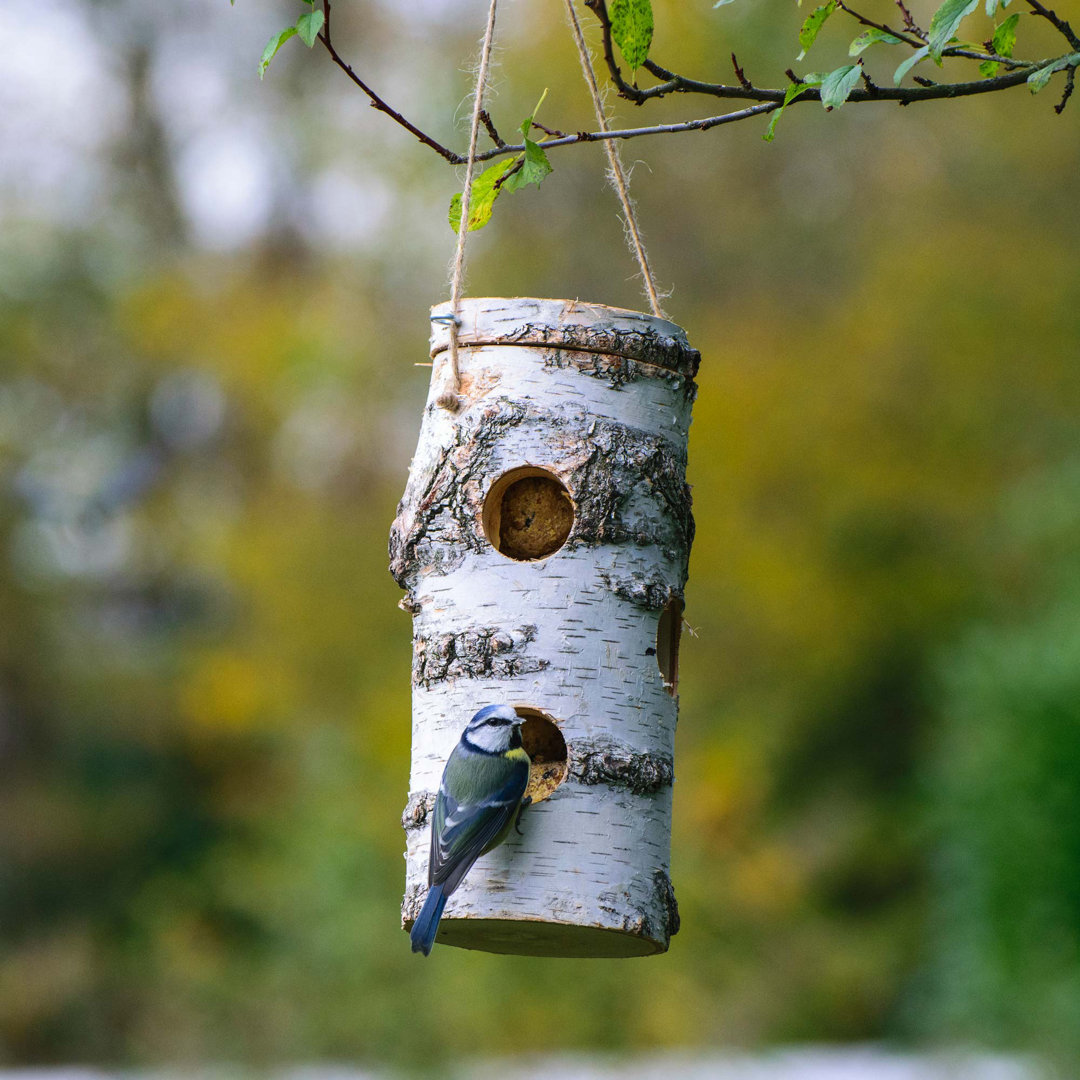 Meisenknödelhalter aus naturbelassener Birke