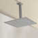 1-Spray Patterns With 2.5 GPM 9.84 In. Ceiling Mount Fixed Shower Head In Brushed Nickel