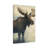 Aaroon Single Picture Frame Print on Canvas-1862118575