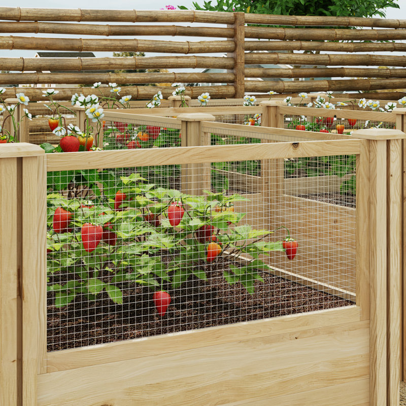 Lit de jardin surélevé modulaire en cèdre - Conception sans vis avec clôture pour animaux et meilleur drainage