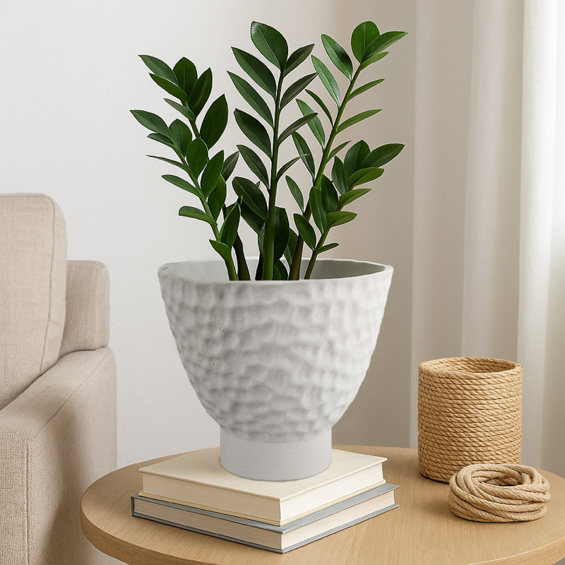Pot décoratif en forme de bol, céramique blanche martelée 12 po
