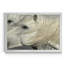 «Curiosity» - Cadre photo, impression sur toile-919158610-919158611