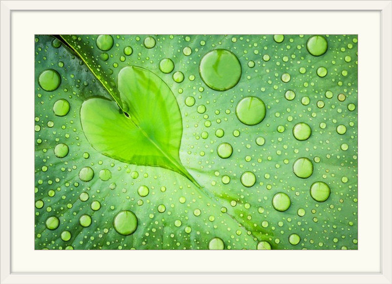 «Heart» par Patrick Foto, Straub, reproduction de photo, H 28 po x l 38 po x P 1 po, Cadre blanc