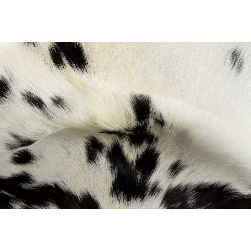Tapis blanc/noir zone vache Cloninger, Nouveauté 2 pi x 3 pi