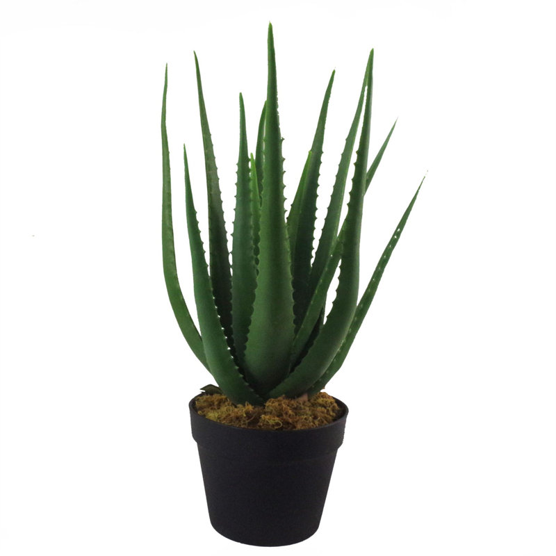 139.7cm Faux Succulent Plant in Pot Liner