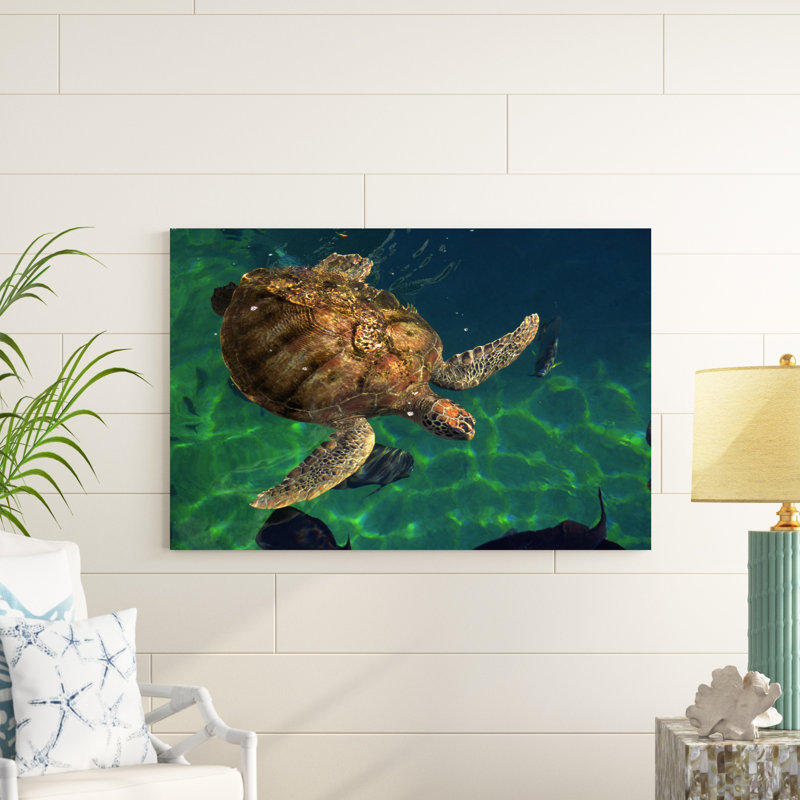 Tortues de mer Égée III, H 32 po x l 48 po x P 1 po