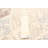 Timeless Cream Rug 5'1" x 8'0"