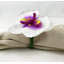 Plastique, anneau de serviette en tissu-331159675