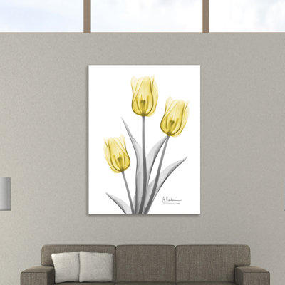 " Illuminating Tulip Trio 2 " by Albert Koetsier