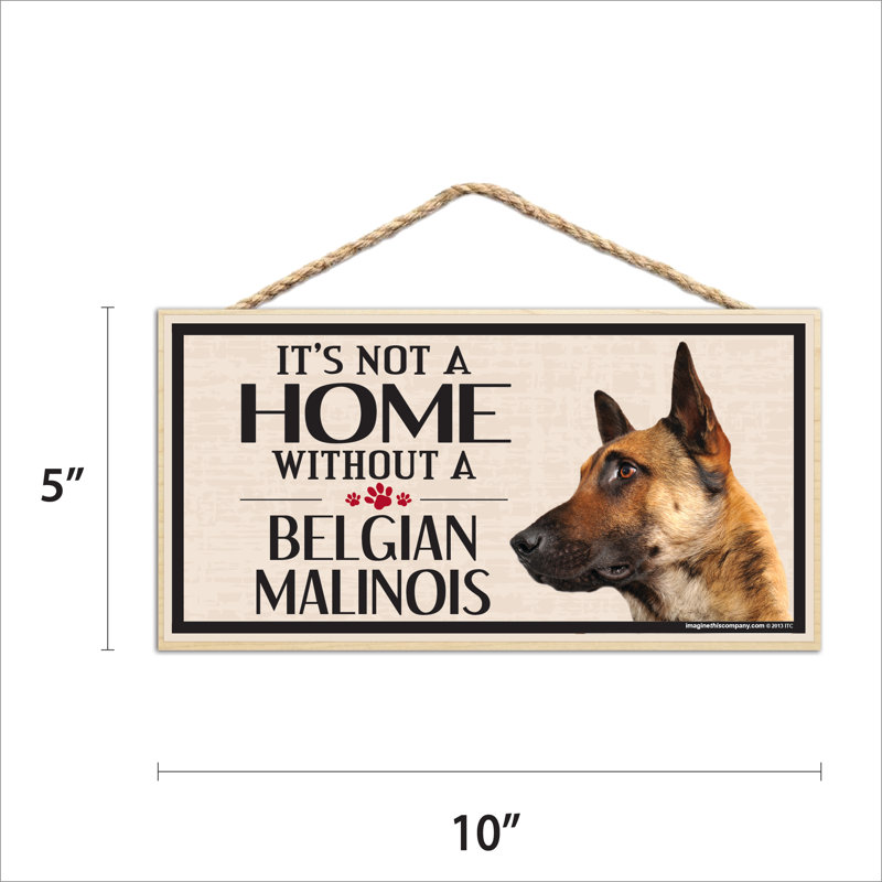 Ce n'est pas une maison sans notre signe de race belge Malinois