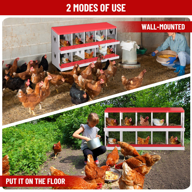 Chicken Coop, Red