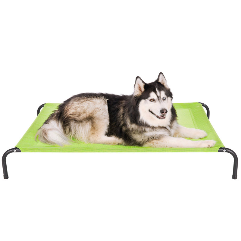 Elevated Cot Pet Bed, Green, 8" H x 36" W x 54.5" D