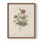 Imprimé floral rétro CLX III - impression encadrée-458933832-458933835