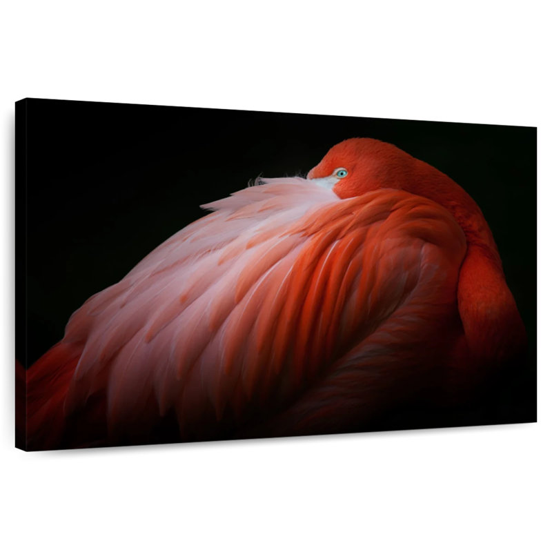 Brampt Shy Flamingo, 34" H x 51" W