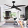 Ceiling Fan with LED Lights