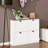 Shoe Storage Cabinet with 4 Flip Drawers