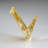 Cerussite Crystal