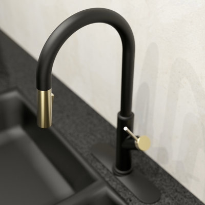 Keeney Pull Down Kitchen Faucet