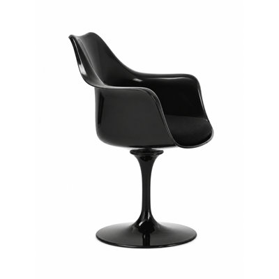 Chaise avec accoudoirs de salle à manger Pangea Home Altan Ella