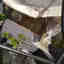 Customer photo 4 of 4