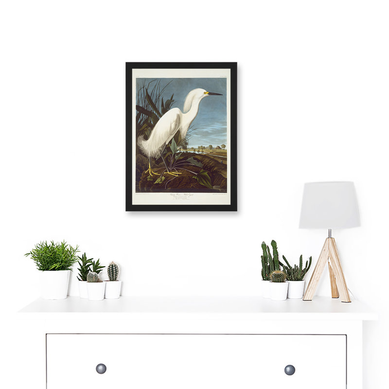 Bird Audubon Snowy Heron Egret by John James Audubon - Single Picture Frame Painting