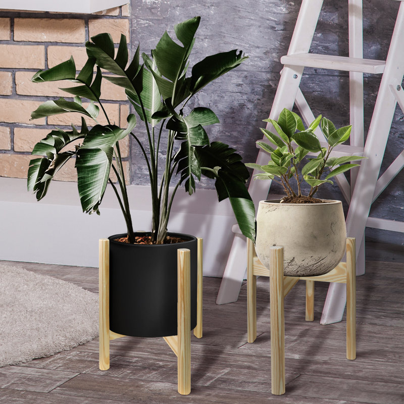 Support pour plante en bois massif à piédestal Ogallala, H 16 po x L 12 po x P 12 po, Naturel