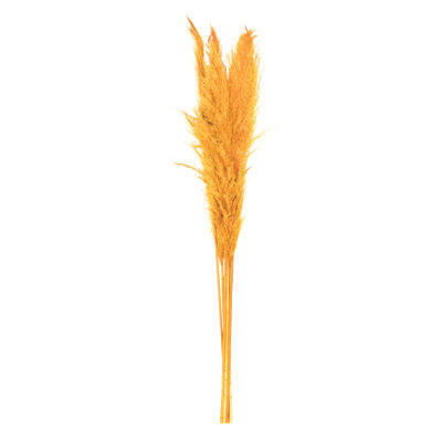 46" Dried Pampas Grass