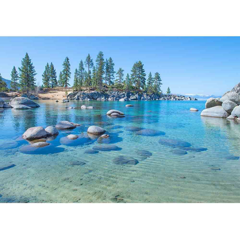 Forest Nature Landscape Peel & Stick Border, 66" L x 96" W