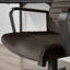 Alexas Luxury Velvet Office Chair - Ergonomic Adjustable Supporting Modern Design-561997339