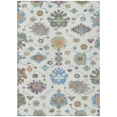 Machine Washable Indoor/Outdoor Chantille ACN2532 Traditional Rug