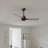 Alessandra 42'' Ceiling Fan-1421734447-1421734360