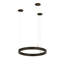 Anillo 10 - Light Chandelier