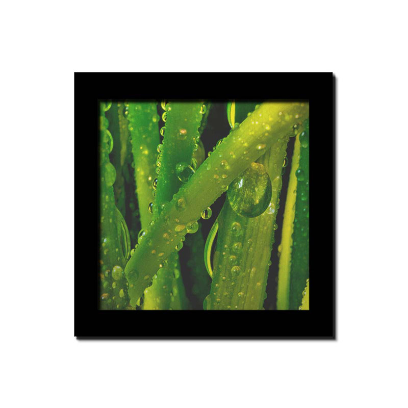 «Early Morning Greens» par Hal Halli. Impression sur papier - Montée et encadrée, H 44 po x l 44 po
