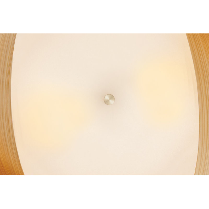 Half Bowen 2 - Light Chandelier, Cypress